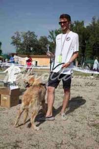 2 Esposizione canina 29.6.2014 Pico - IMG_4082